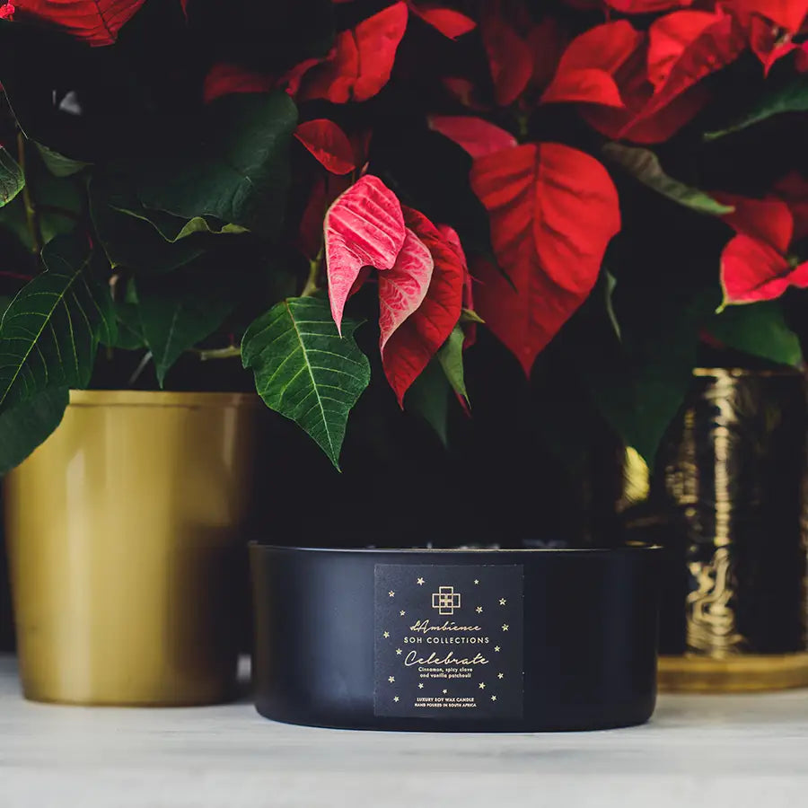 Celebrate | 1kg Scented Candle